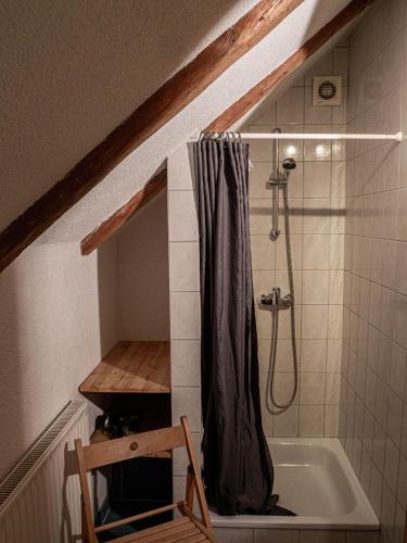 a bathroom with a shower and a bath tub at Ferienhof Bahlens-Schur in Friedland