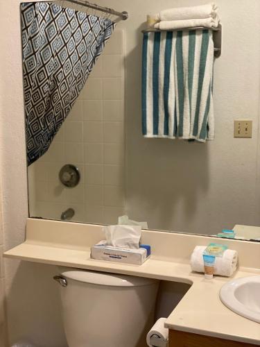a bathroom with a toilet and a sink and a mirror at lodge on the river in Bullhead City