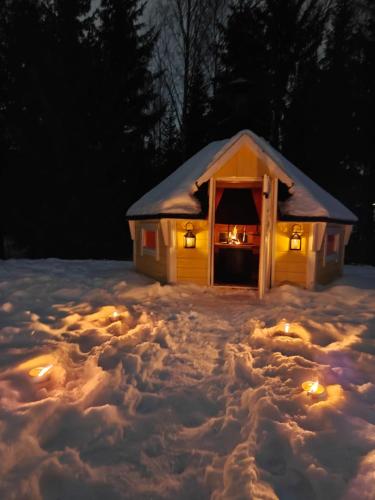 a dog house with lights in the snow at night at Villa Pare in Rovaniemi