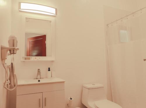 a bathroom with a toilet and a sink and a mirror at Maison Rouge - Room 4 in Christiansted