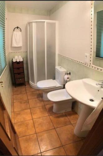a bathroom with a toilet and a shower and a sink at Naturaleza-confort in Arroyo Frio