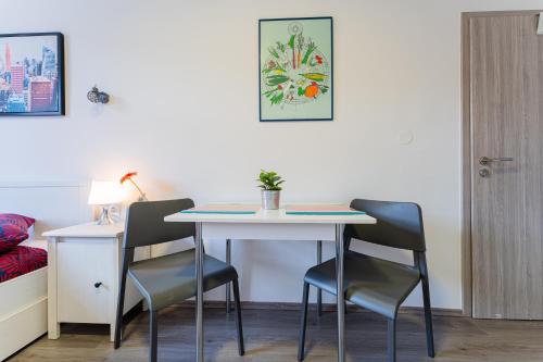 Flex SelfCheckIns 134 - Zagreb - Studio Apartment - Centre