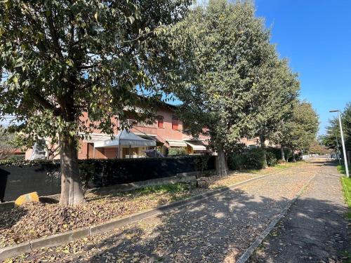 a street with trees in front of a building at Motori e Sapori in Castelnuovo Rangone