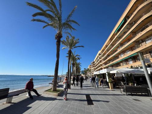 JTG PLAYA TORREVIEJA