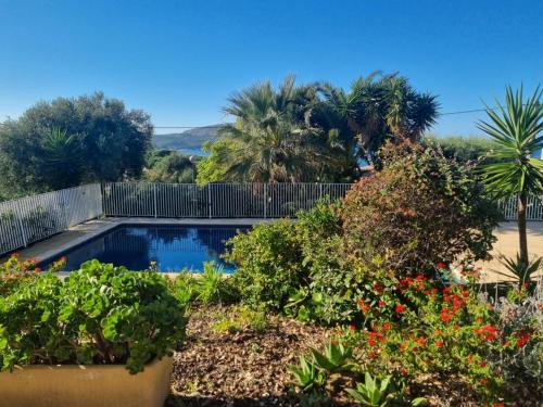 a swimming pool in a garden with plants and flowers at Agréable 2 pièces dans villa avec piscine in Calvi