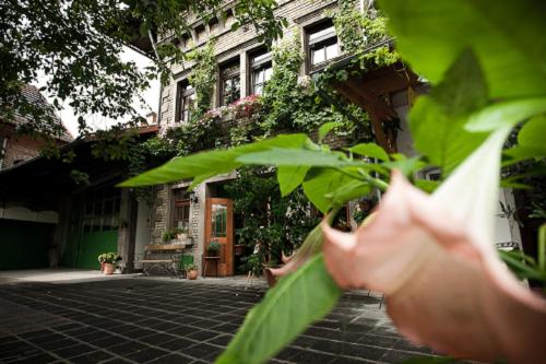 a close up of a plant in front of a building at Gästehaus Guntersblum in Guntersblum