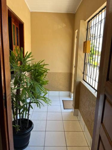 a hallway with potted plants in a building at Casa bom clima in Mucugê