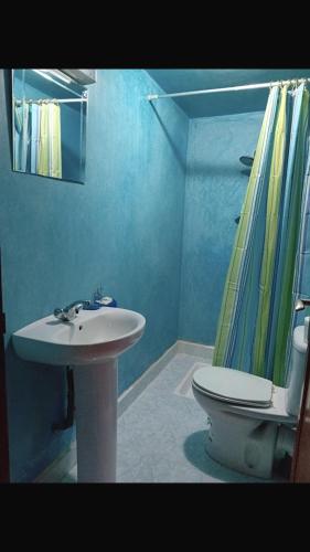 a bathroom with a sink and a toilet and a shower at PALM'SKOURA in Skoura