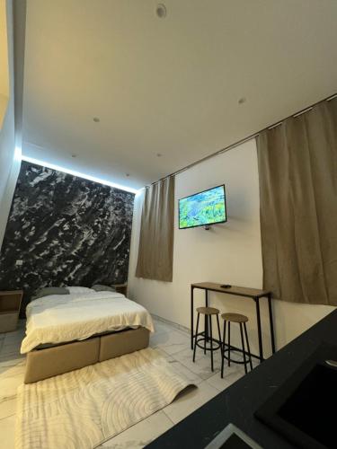 une chambre avec un lit et une télévision au mur dans l'établissement Studio St Charles, à Marseille