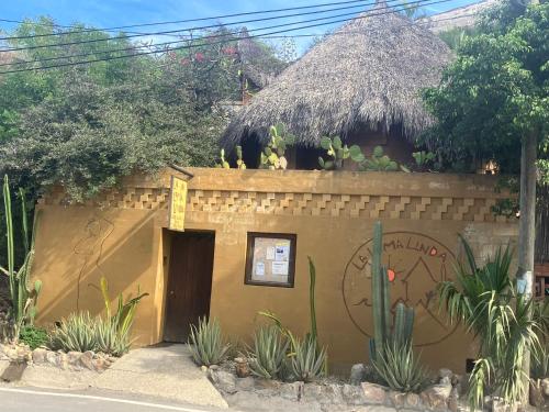 a small building with a thatched roof with plants on it at LA LOMA LINDA, Bungalows, Yoga and Feldenkrais, STARLINK INTERNET in Zipolite