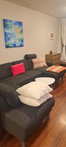 a living room with a black couch with pillows at Iceland-Aurora in Laugaras