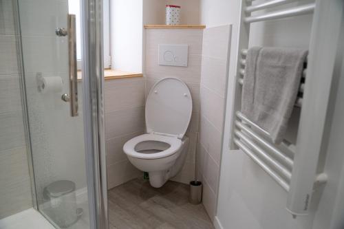 a small bathroom with a toilet and a shower at Studio tout équipé in Vaugneray