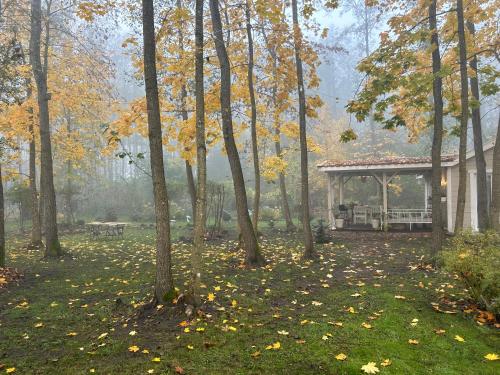 a gazebo in a park with leaves on the grass at Łąckówka Mazury in Świętajno