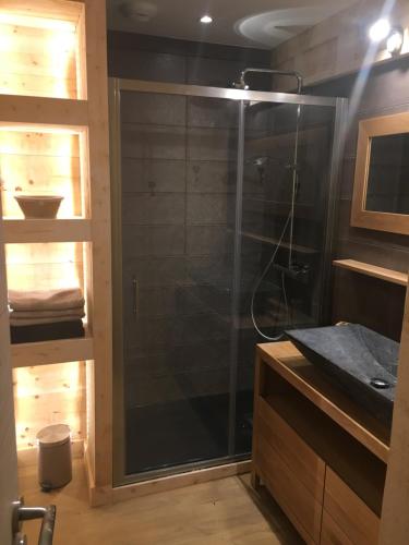 une douche avec une porte vitrée dans une salle de bain dans l'établissement Le Montcalm chalet Le Desman, à Ustou