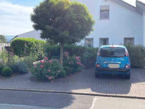 a small blue van parked next to a tree at Ferienwohnung am Salmtalradweg Region Eifel Mosel in Sehlem