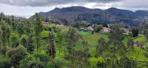 an aerial view of a village in a mountain valley at The Monarch in Ooty