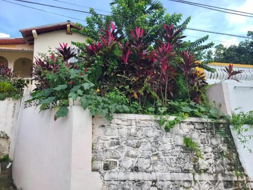 a retaining wall with plants on top of it at DMpire Suite in St Mary