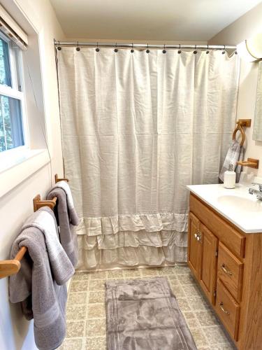 a bathroom with a shower curtain and a sink at Peaceful Mtn Studio Pet-friendly in Woodstock