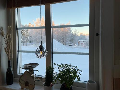 Gallery image of Cosy house in a rural location in Rosvik