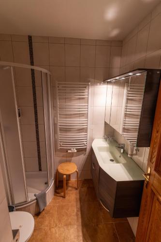 a bathroom with a sink and a shower and a toilet at Landhaus Flasch in Wagrain