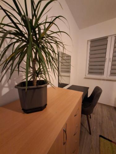 Fotografie z fotogalerie ubytování Apple Home v destinaci Sarajevo
