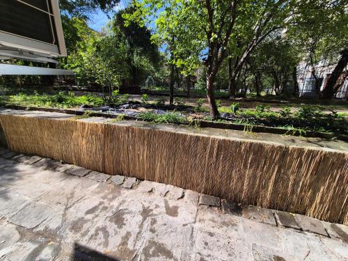 Un jardín fuera de The VERTEX