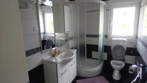a bathroom with a sink and a toilet and a shower at Miletić in Čižići