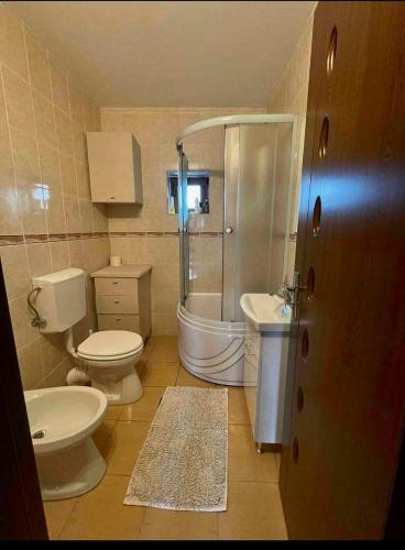 Phòng tắm tại Căsuța cu livadă