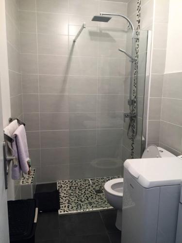 une salle de bain avec douche et toilettes dans l'établissement Magnifique Studio cannes, à Cannes