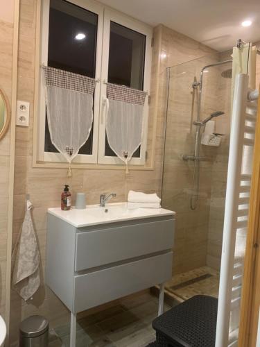 un bagno con lavandino e doccia di Maison Cocon Tout Confort et son Jardin privé a Villeblevin