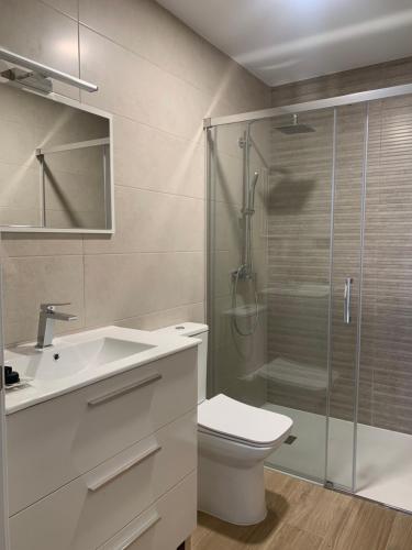 a bathroom with a shower and a toilet and a sink at El GABINETE in Argamasilla de Alba