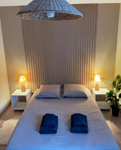 - une chambre avec un grand lit et 2 oreillers bleus dans l'établissement Appartement avec jardin à 2 pas du lac, à Aix-les-Bains