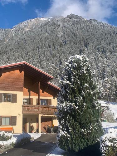 a building with a tree in front of a mountain at Appartment Lori in Wald am Arlberg