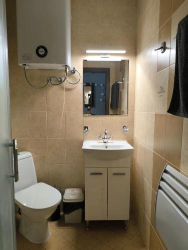 a bathroom with a sink and a toilet and a mirror at Snowflake Family, Parking, SPA option, 600mbps in Bansko