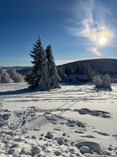 a snow covered field with trees in the distance at Apartmán Horalka in Deštné v Orlických horách