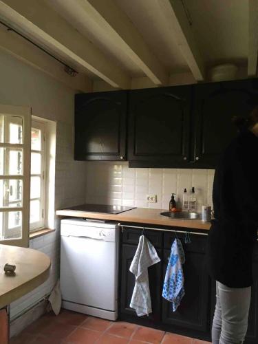 une cuisine avec des armoires noires et des appareils blancs dans l'établissement Maison dans le Perche type cottage, à Saint-Agnan-sur-Sarthe