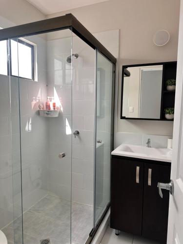 a bathroom with a glass shower and a sink at Elegant Modern Tiny Home in San Miguel