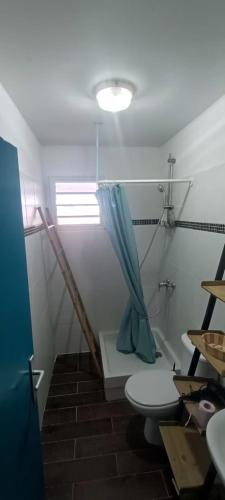 a bathroom with a toilet and a blue shower curtain at Appartement F2 en résidence avec piscine et plage à 5min à pied in Les Trois-Îlets