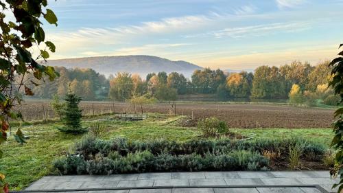 a garden with a view of a field at Zaczarowane Wzgórze - Domek w Beskidach in Czaniec