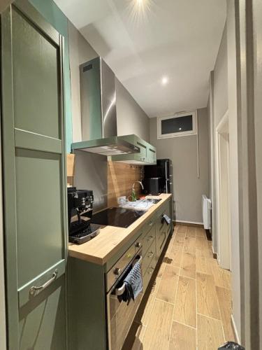 une cuisine avec des placards verts et un comptoir dans l'établissement Appartement 1 Climatisé Séjour inoubliable,détente,bain-bulle,un coin de paradis ainsi qu'une terrasse au rdc, à Limoges