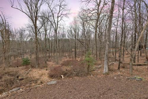a wooded area with a lot of trees at Camelback Ski Mts,Firepit, Hottub,Kalahari WaterPark,Linens! in Cresco