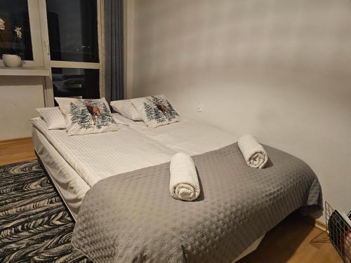 Apartament przy Krupówkach Szarotka