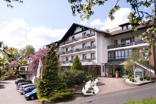a hotel with cars parked in front of it at Hotel-Restaurant Birkenhof in Bad Soden-Salmünster