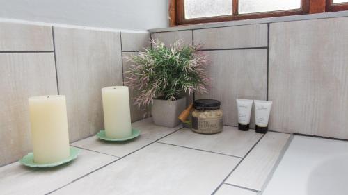 Lavender Lane في جورج: غرفة بها شمعتين ونبات الفخار