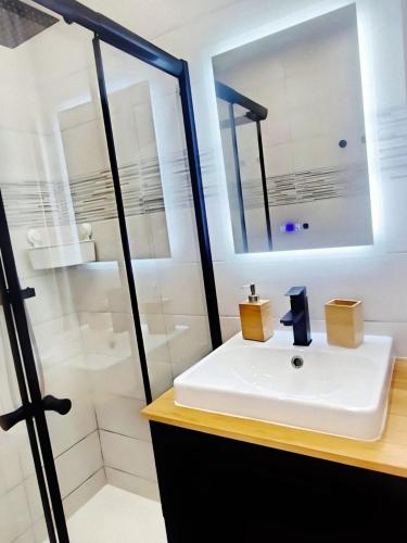 une salle de bain avec un lavabo et une douche dans l'établissement Élégant appartement - 18 min de Paris Cathédrale notre-dame, à Choisy-le-Roi