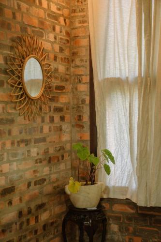 a mirror and a plant on a table next to a window at mehome in Cư Chinh