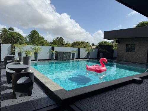 Kolam renang di atau dekat dengan Mami Apartments