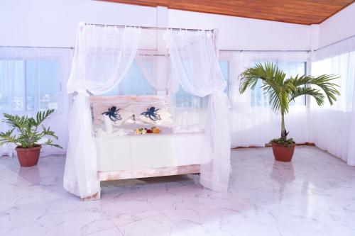 All INCLUSIVE GALAPAGOS & BEYOND 2