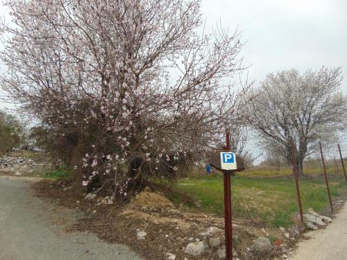 Zdjęcie z galerii obiektu Walnut Grove w mieście Vouni