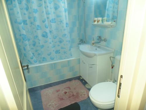 スチャヴァにあるLary apartamentのバスルーム(トイレ、洗面台、シャワー付)